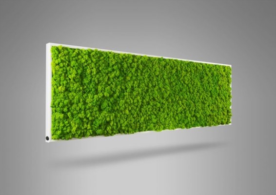 Obraz - LED - Koło kompozycja z roślin stabilizowanych Creative Botanica