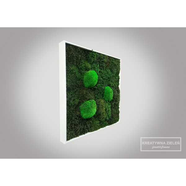 Obraz z mchu leśnego płaskiego oraz poduszkowego 'kwadrat'